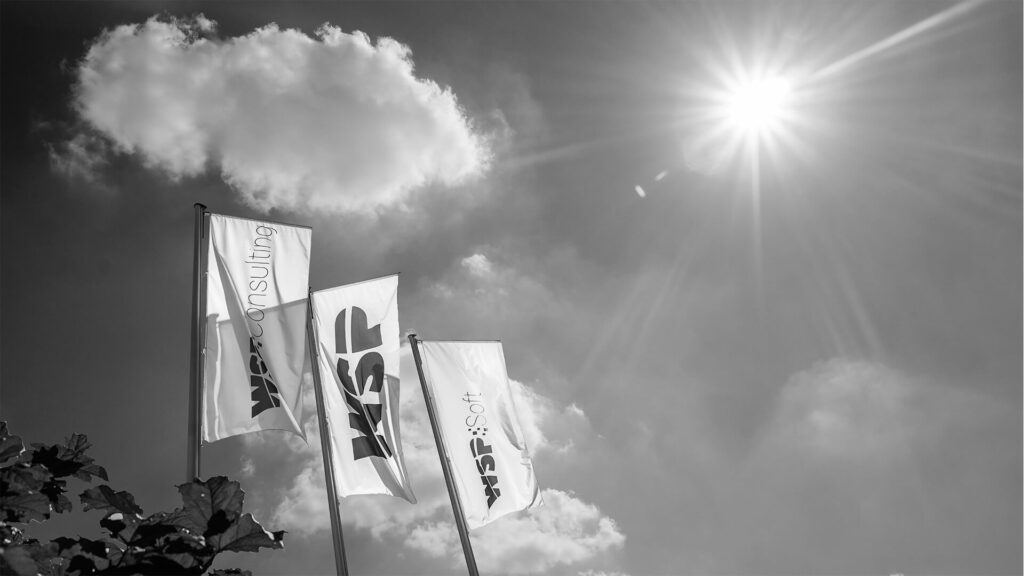 Drei Flaggen mit den Logos von WSP Consulting, WSP und WSP-Soft aufgedruckt wehen im Wind - Gegen die Sonne fotografiert.